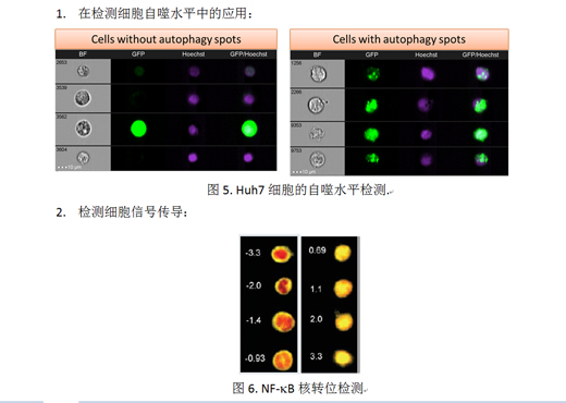 未標題-1.jpg